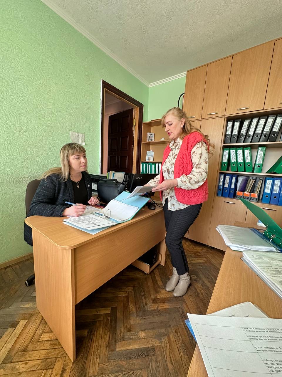 Моніторинг Бориспільської РДА Київської області щодо реалізації державної політики у сфері запобігання та протидії домашньому насильству
