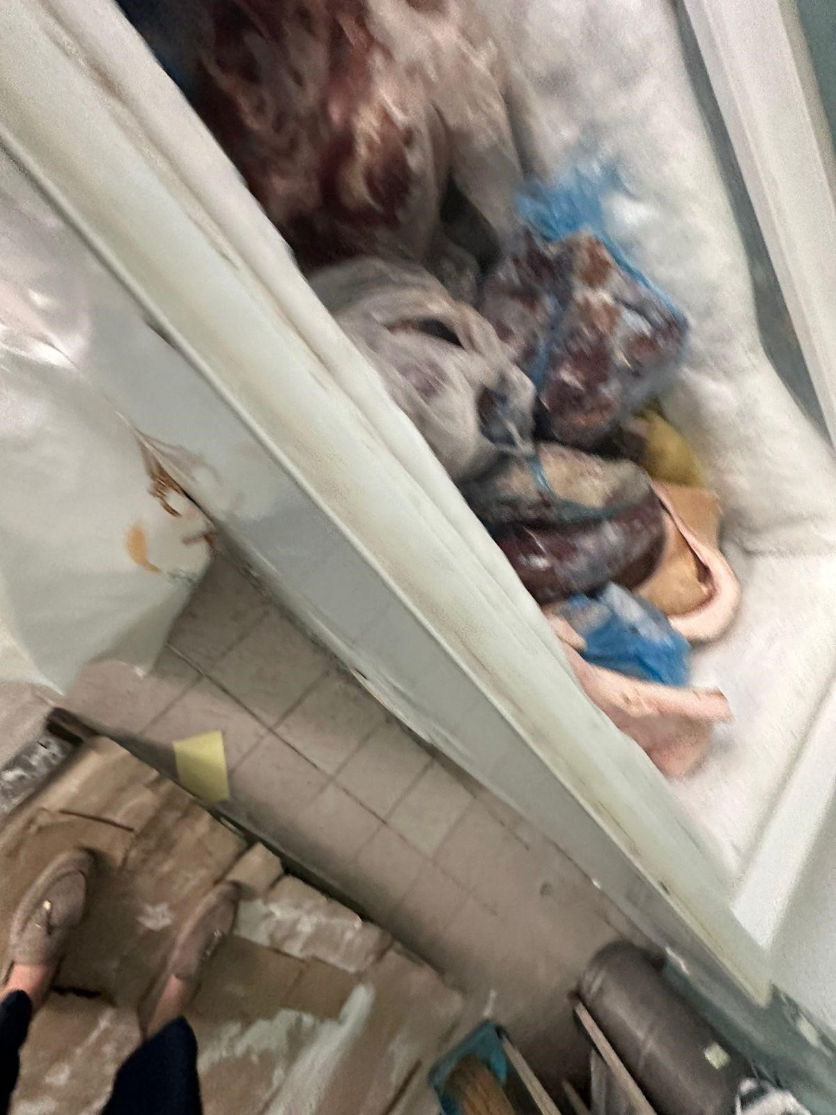 Моніторинговий візит до Святошинського дитячого будинку-інтернату
