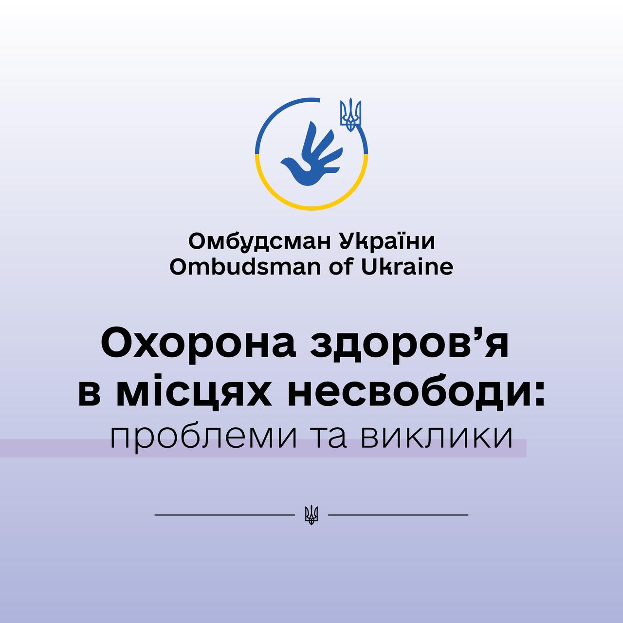 Омбудсман України Дмитро Лубінець повідомив про кількість моніторингових візитів за 2024 рік