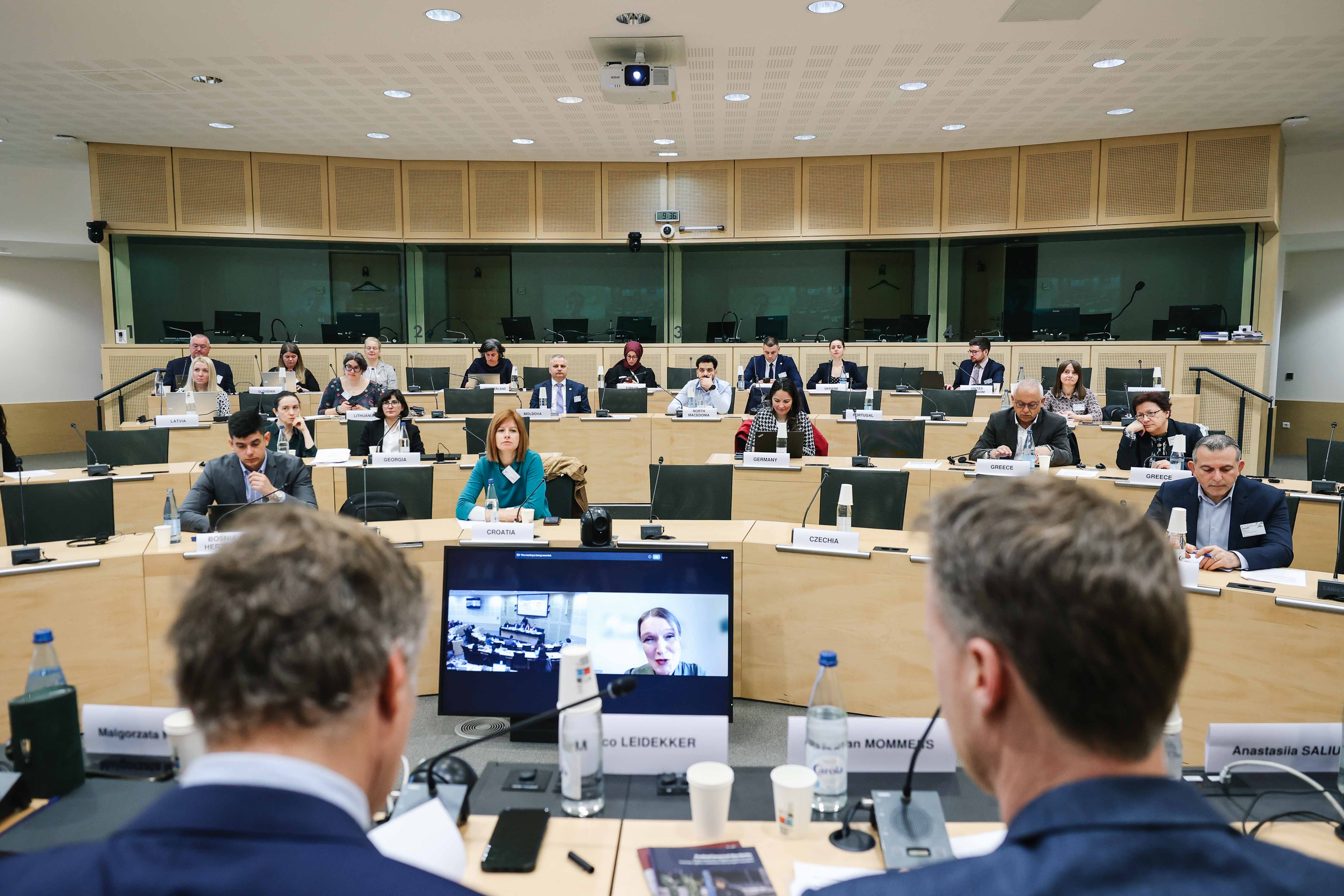 «Моніторинг НПМ у контексті міграції» у м. Страсбург, Франція