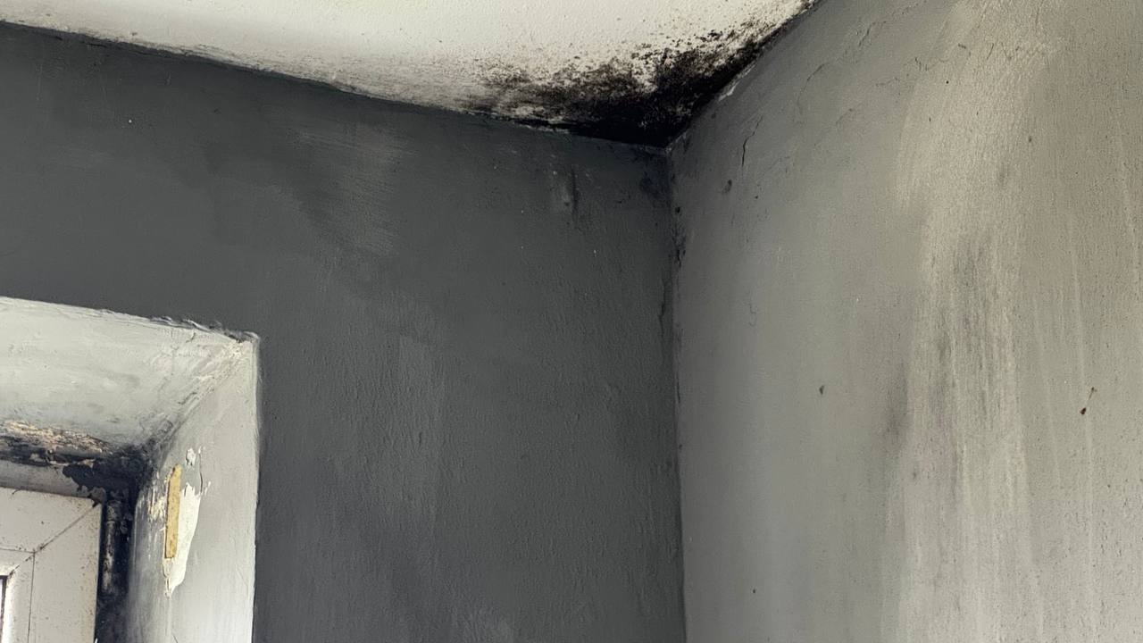 Моніторинговий візит до місця тимчасового перебування ВПО у Великосеверинівській громаді